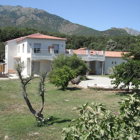 Bed and Breakfast L'Attrachju Corte  Exterior foto