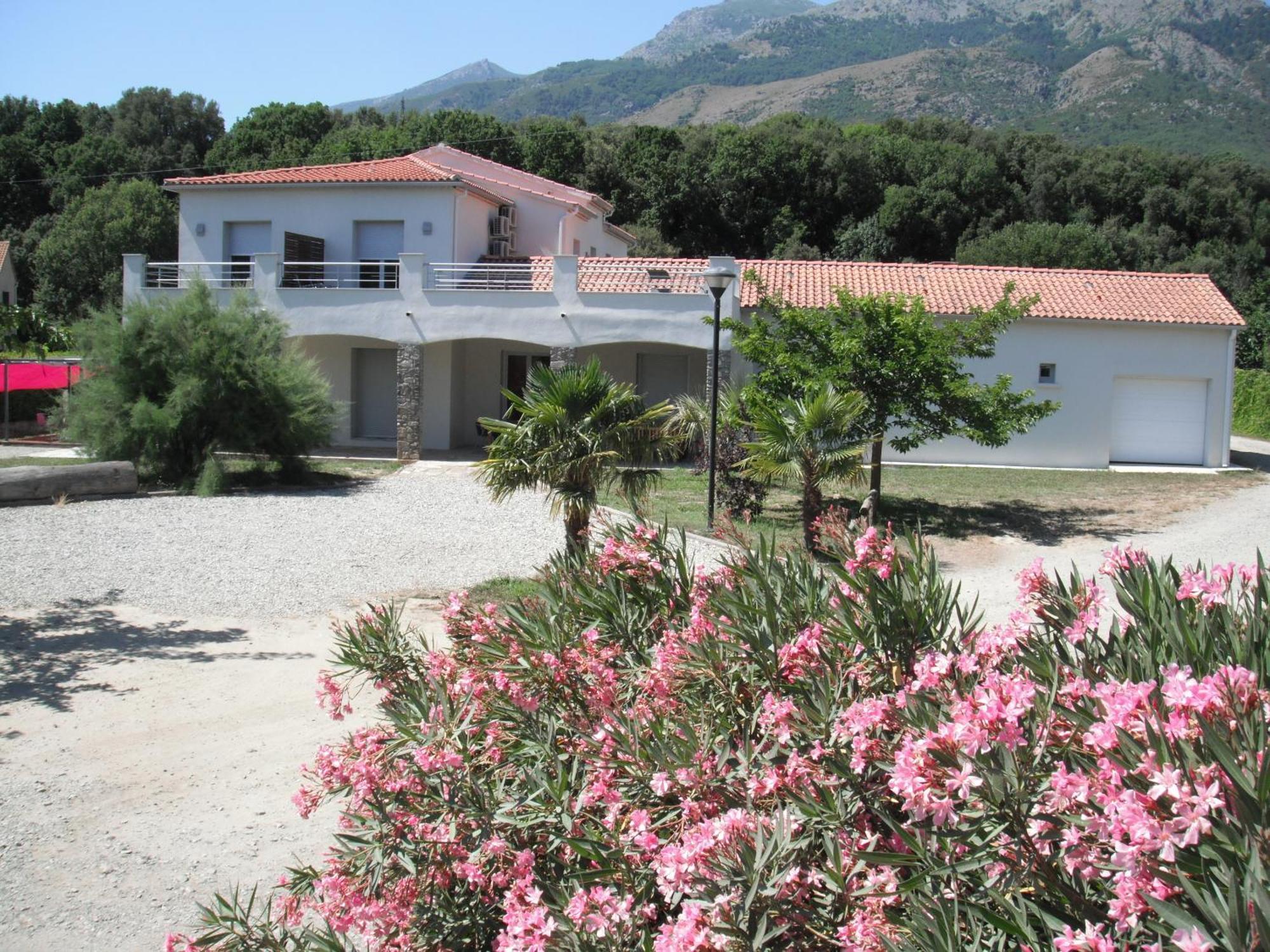 Bed and Breakfast L'Attrachju Corte  Exterior foto